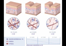 水潤(rùn)皮膚的秘密武器，乙酰殼糖胺和透明質(zhì)酸的甜蜜聯(lián)盟！